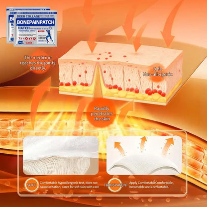 BonePainPatch Thermal Patches 6 Patches Bag for Bone Pain Relief & Muscle Recovery Balm Therapeutic Healing Therapy Healthcare Wellness Treatment